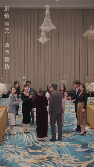 （从此风雨不同舟53集）高清短剧全集无广告观看封面图