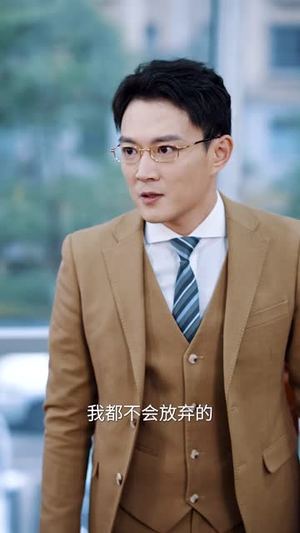 （过年回家之正义薪途40集）短剧全集高清下载观看封面图