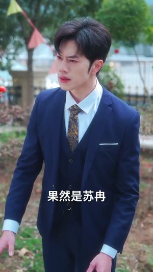 （雾散风不停60集）短剧全集即点即播封面图