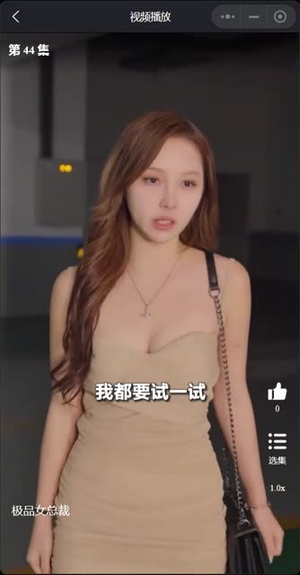 （我的富豪美女总裁全集）全集短剧免费观看无广告封面图