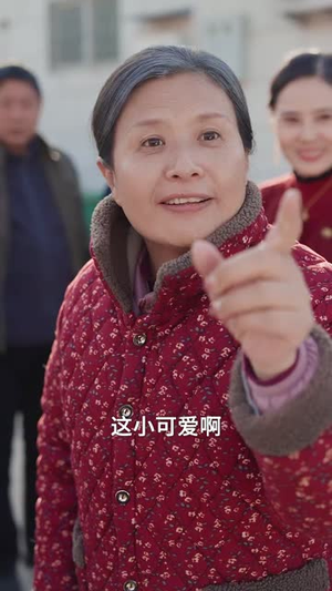 （血色亲情30集）网页直播大结局抢先看封面图