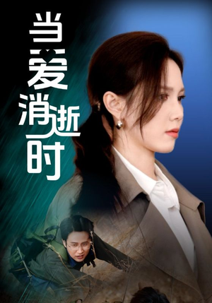 （当爱消逝时53集）短剧全集免费解锁畅快追封面图