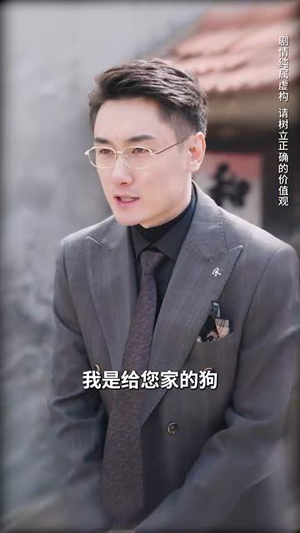 （梨花风起正清55集）全集短剧在线高清流畅播放封面图