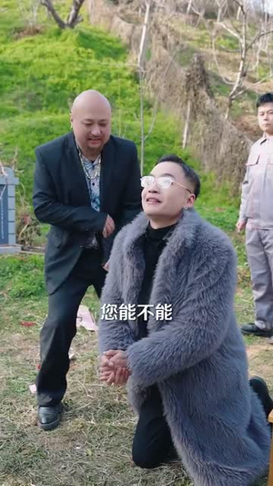 （新春笑怒归32集）高清短剧全集任意点播封面图