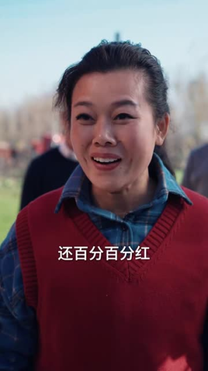 （回家过年遇到极品亲戚29集）全集短剧在线免费观看封面图