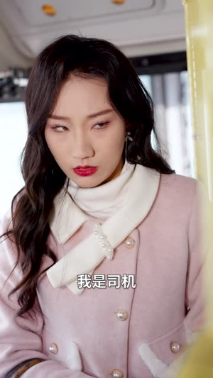 （模范司机30集）高清短剧在线流畅播放封面图