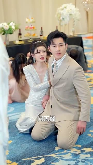 （红颜如此多娇80集）短剧全集免费在线观看无限制封面图