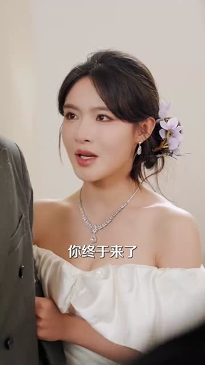 （野舟难渡59集）热门短剧全集免费在线看封面图