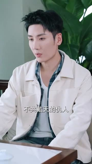 （商海帝王从兄弟结婚开始80集）官方短剧网站全集高清观看封面图