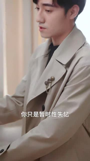 （菩堤血染负心灯34集）短剧全集网页版流畅播放封面图