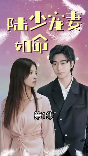 （陆少宠妻如命100集）热门短剧全集高清在线追封面图
