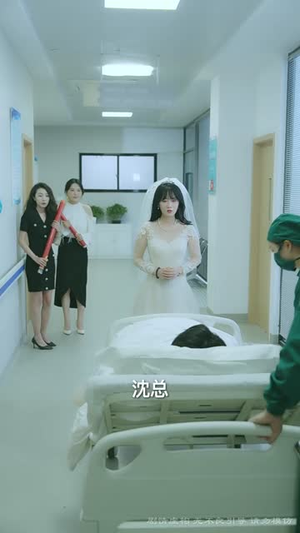 （疏雨梧桐浅月朦胧50集）一键解锁短剧全集精彩封面图