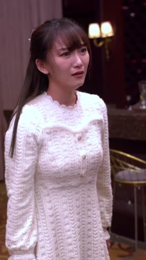（商界女王风云录48集）全集高清短剧在线免费看封面图