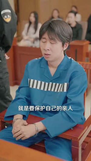 （正义回响98集）独家短剧全集在线畅享封面图