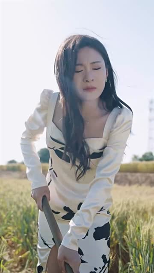 （麦子熟了52集）短剧全集资源在线流畅播放封面图