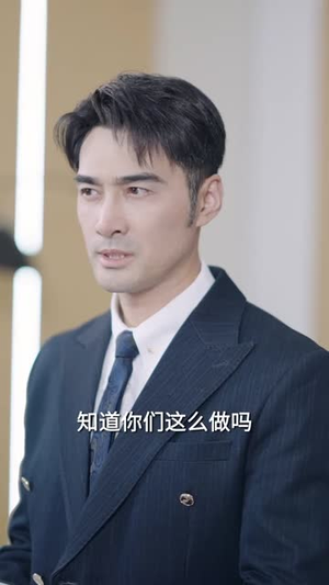 返聘之代码英雄(37集) 返聘之代码英雄(37集)短剧全剧终限免合集
