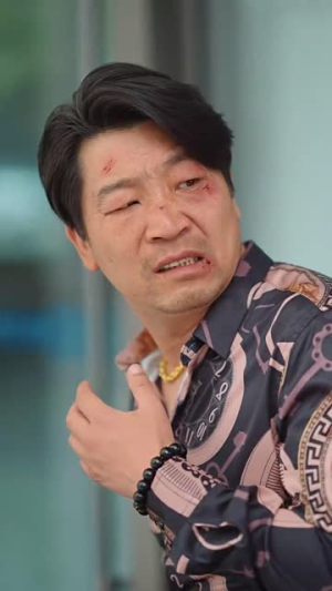 （嘘，他的马甲会漏风60集）高清短剧全集随时畅享封面图