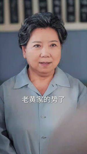 （怼天怼地黄老太60集）高清短剧在线免费观看封面图