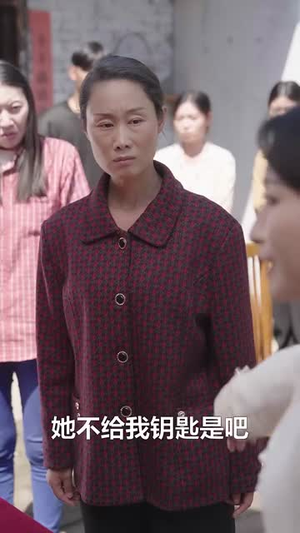回家带孩子(25集) 回家带孩子(25集)短剧大结局全集特惠